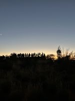 Sonnenaufgang am Uluru