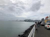 Stadtrundfahrt durch Auckland