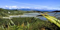 Strand an der Tasman Sea