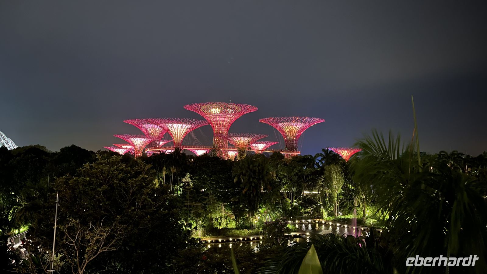 Supertrees bei den Gardens by the Bay