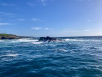 Twofold Bay, Eden