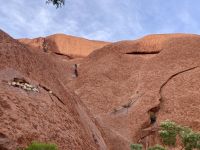 Uluru, Outback