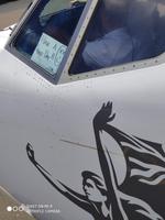 Vielen Dank für den schönen Flug