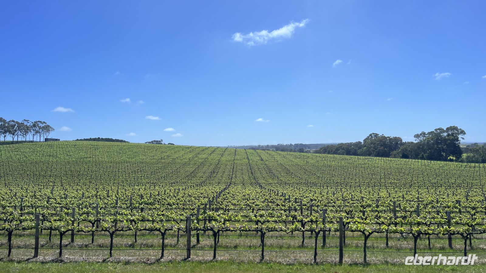 Weinanbaugebiet McLaren Vale