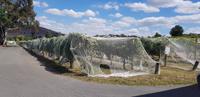 Weingut Fergusons 