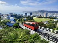 Wellington