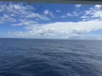 an Bord der Norwegian Spirit