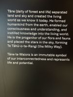 die Maori Legende