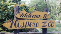 Nispero Zoo