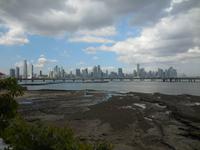 DSCN3955