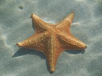 DSCN4765