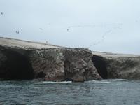 Ballestas Inseln