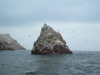 Ballestas Inseln