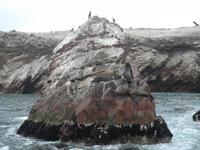 Ballestas Inseln