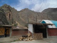 Meerschwein gegrillt