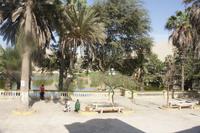 Oase-von-Huacachina_Ica_Peru