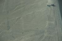 Flug-über-die-Nasca-Linien_die-Eidechse_Peru