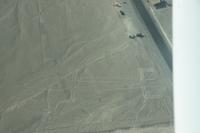 Flug-über-die-Nasca-Linien_die-Eidechse_Peru