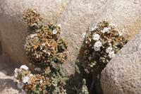 An-der-Küste_auf-dem-Weg-von-Nasca-nach-Arequipa_Peru