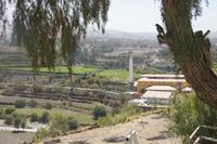 falscher-Pfefferbaum_bei-Arequipa_Peru