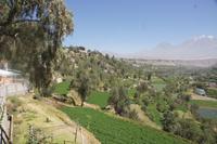 fruchtbares-Land-bei-Arequipa_mit-dem-Vulkan-Chachani_Peru