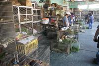 Markthalle_Arequipa_Peru