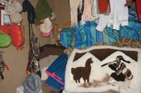 Besuch-einer-Bauernfamilie-bei-Atuncalla_Peru