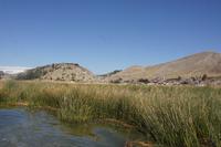 Schilfgebiet-der-Uros_bei-Puno_Titicacasee_Peru