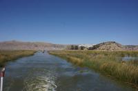 Schilfgebiet-der-Uros_bei-Puno_Titicacasee_Peru