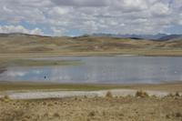 Auf-dem-Weg-von-Puno-nach-Cusco_Peru