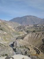 128_Das Colca Tal - Anbaukultur auf Terrassen