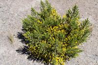 Busfahrt von Arequipa nach Puno (1)