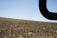 Busfahrt von Arequipa nach Puno (6)