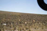 Busfahrt von Arequipa nach Puno (7)