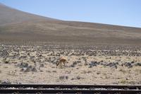 Busfahrt von Arequipa nach Puno (10)