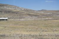 Busfahrt von Arequipa nach Puno (16)