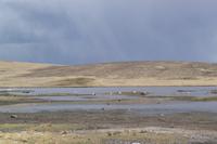 Busfahrt von Arequipa nach Puno (20)