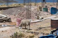 Fahrt von Arequipa nach Puno (2)