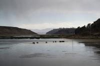 Grabtürme von Sillustani (20)