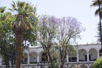 Hauptplatz von Arequipa (9)