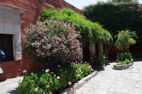 Kloster Santa Catalina  (9)