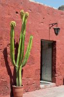 Kloster Santa Catalina  (16)