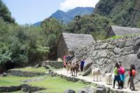 Machu Picchu (49)