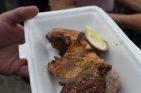 Meerschweinchen Essen (4)