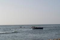 Panamericano Küste (2)