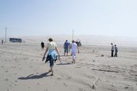 Panoramafahrt entlang der Pazifikküste (10)