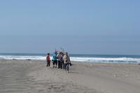 Panoramafahrt entlang der Pazifikküste (12)