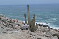 Panoramafahrt entlang der Pazifikküste (29)