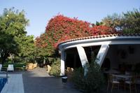 privates Gut in Nasca (8)