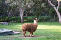 privates Gut in Nasca (9)